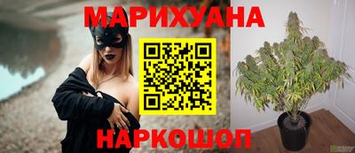 крисы Жуковский