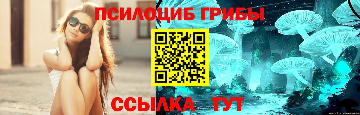 Галлюциногенные грибы Cubensis  цены   Шумерля  Вход с VPN 